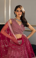 Organza Embroidered Blouse and Lehanga - House Of Hania