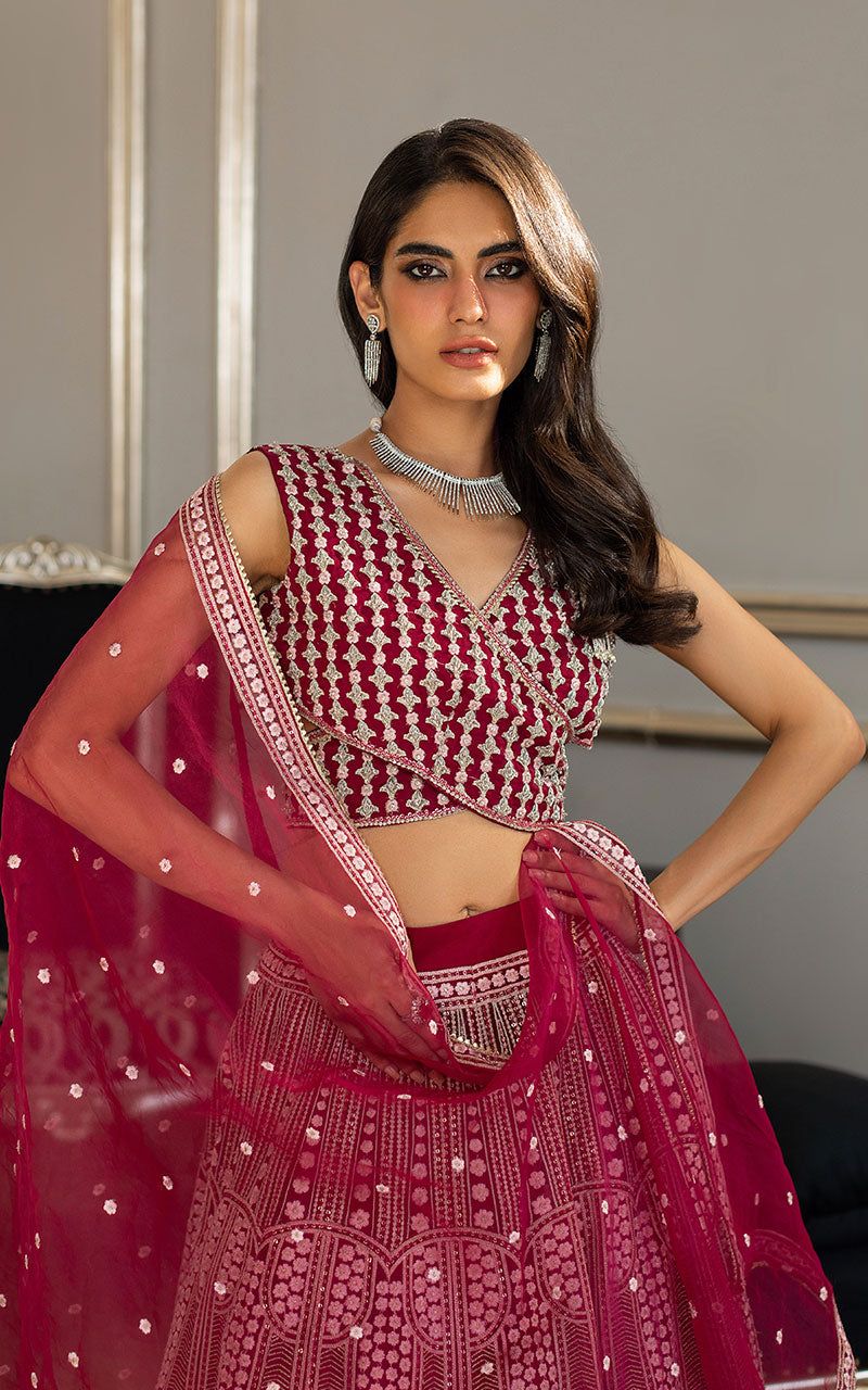 Organza Embroidered Blouse and Lehanga - House Of Hania