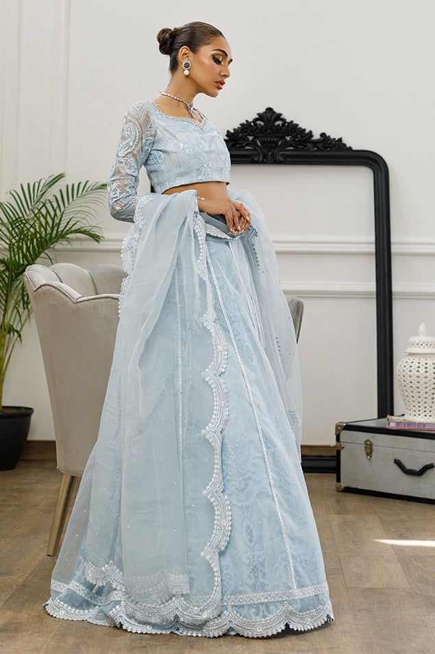 Organza Embroidered Blouse and Lehanga - House Of Hania