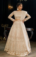 Organza Embroidered Blouse and Skirt - House Of Hania