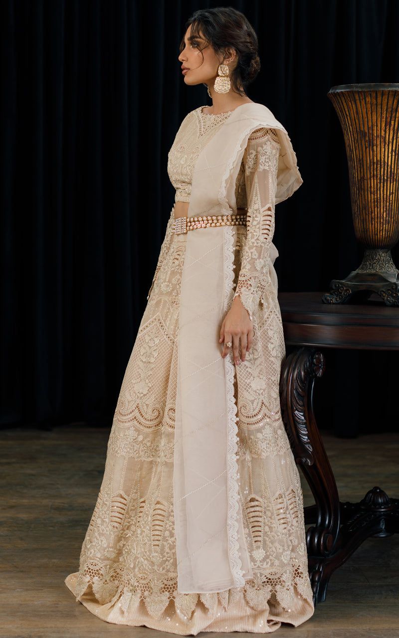 Organza Embroidered Blouse and Skirt - House Of Hania
