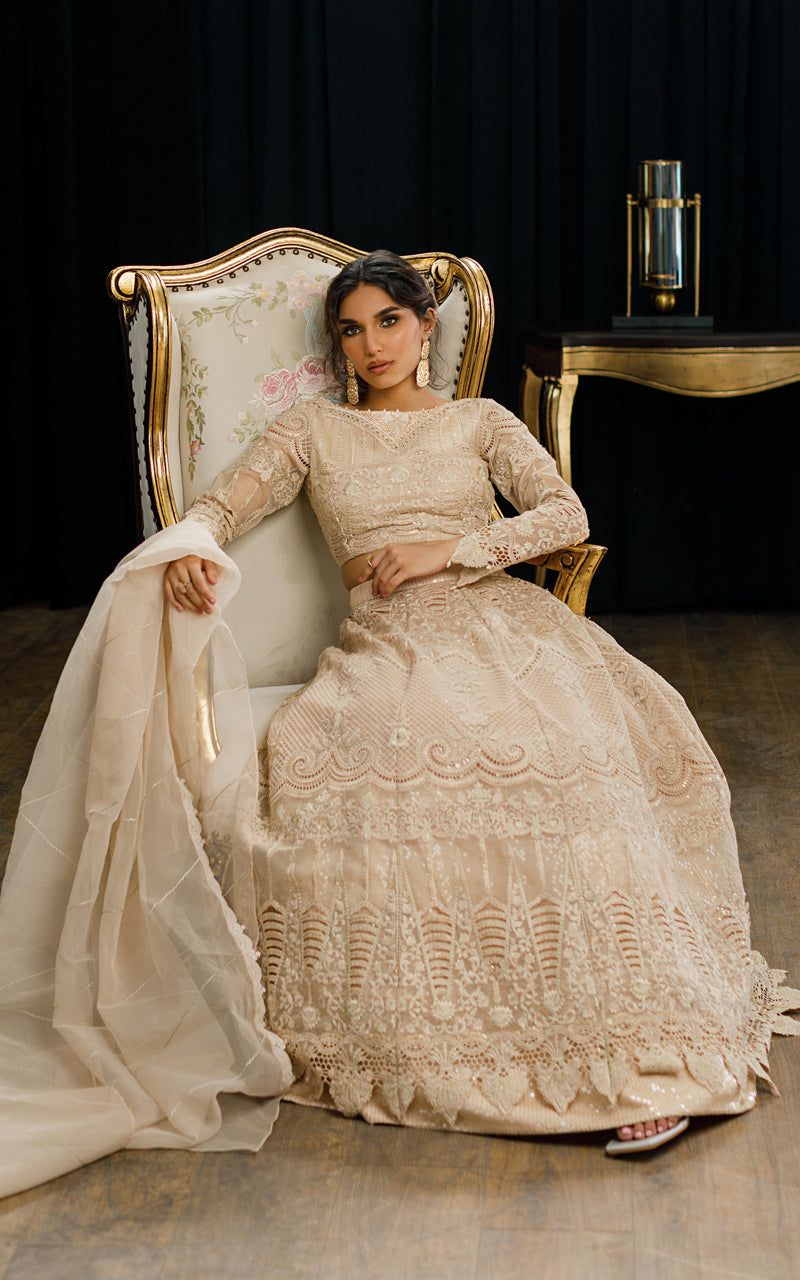 Organza Embroidered Blouse and Skirt - House Of Hania