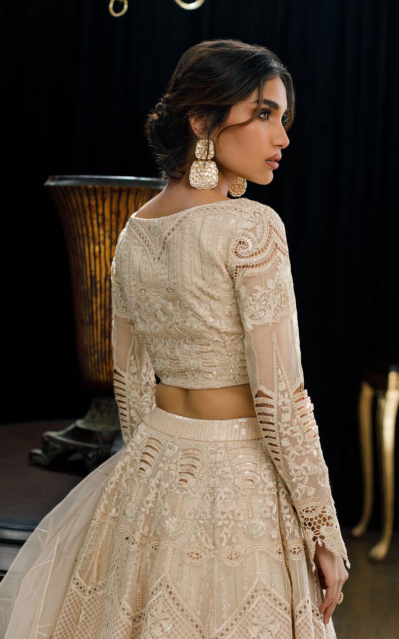 Organza Embroidered Blouse and Skirt - House Of Hania