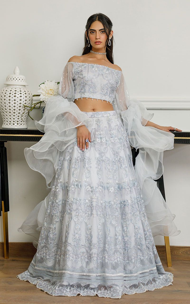 Organza Embroidered Dress with Skirt - House Of Hania