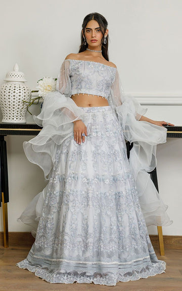 Organza Embroidered Dress with Skirt - House Of Hania