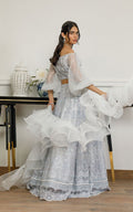 Organza Embroidered Dress with Skirt - House Of Hania