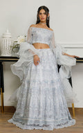 Organza Embroidered Dress with Skirt - House Of Hania
