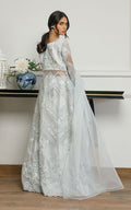 Organza Embroidered Dress with Skirt - House Of Hania