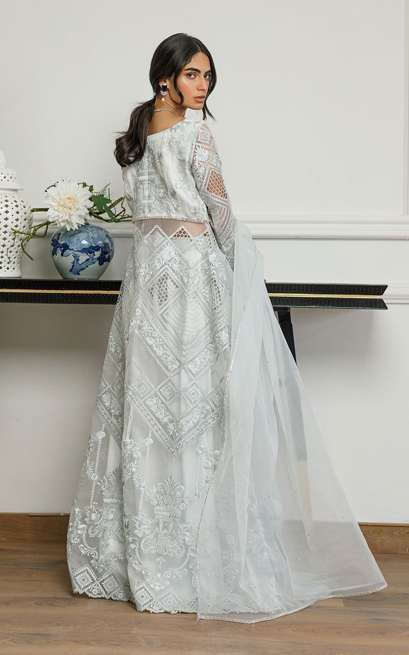Organza Embroidered Dress with Skirt - House Of Hania