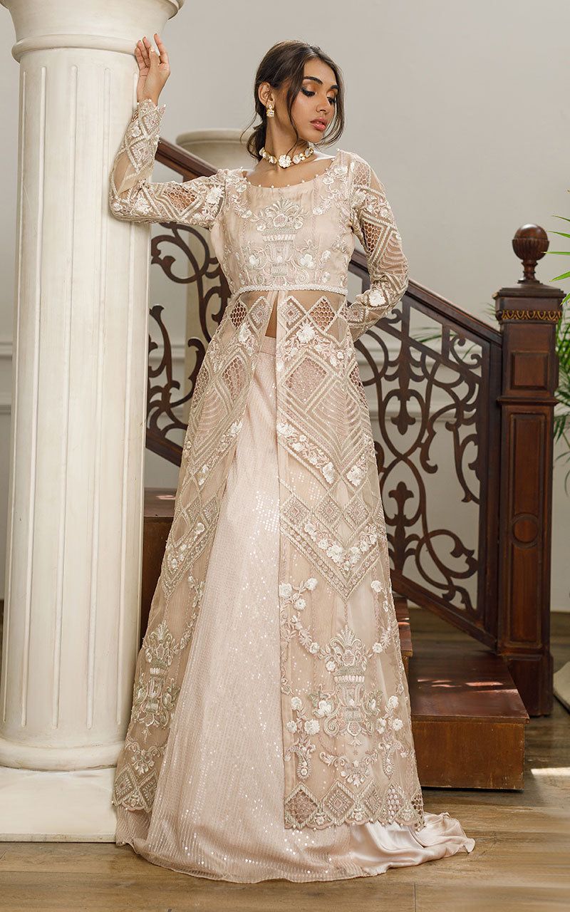 Organza Embroidered Dress with Skirt - House Of Hania