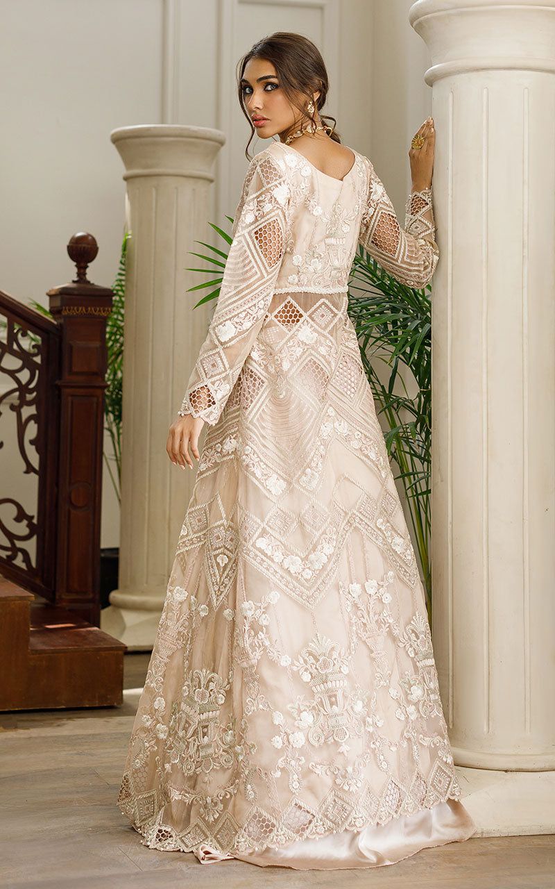 Organza Embroidered Dress with Skirt - House Of Hania