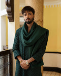 Pakistani Menswear | Faiza Saqlain | Taavi - House Of Hania