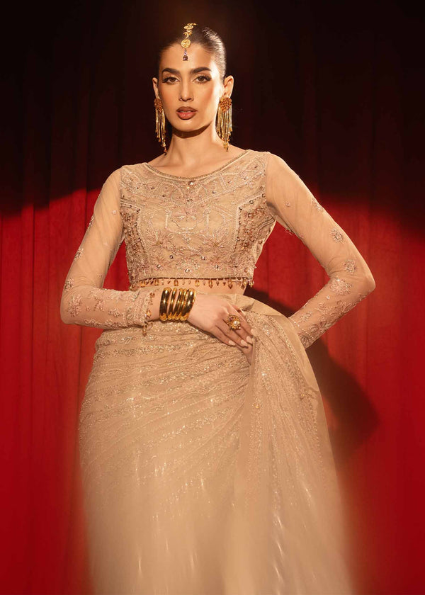 Paras by Pasha | Noor -e- Jahan Saree Collection | Zar-e-Sahar - House Of Hania