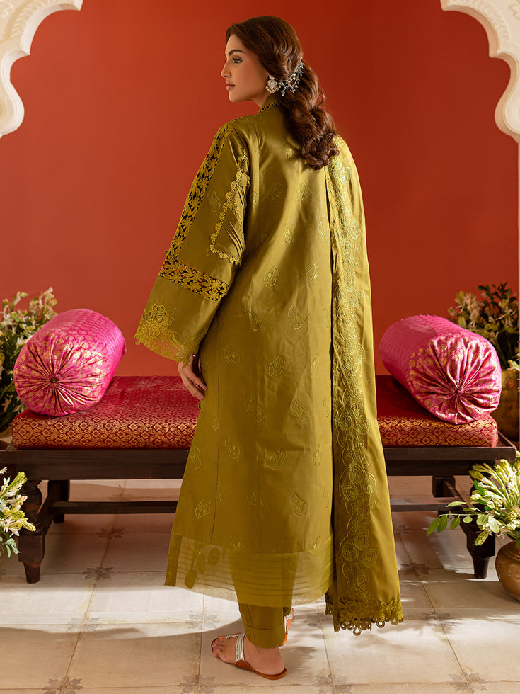 Parishay | Dastan e Noor Lawn | DSC-01 - House Of Hania