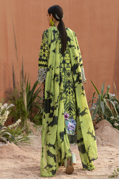 Parishay | Ivy Bloom 26 | IB-04 - House Of Hania