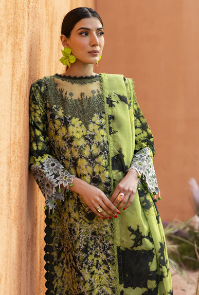 Parishay | Ivy Bloom 26 | IB-04 - House Of Hania