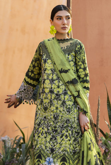 Parishay | Ivy Bloom 26 | IB-04 - House Of Hania