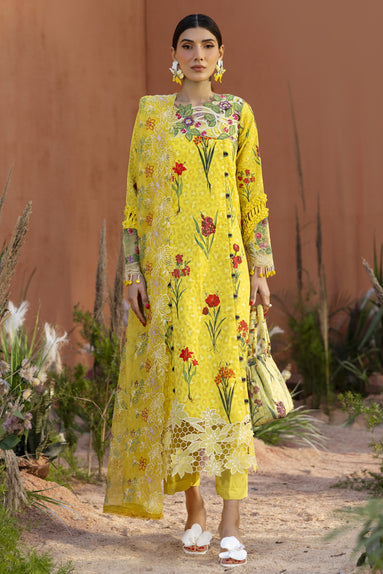 Parishay | Ivy Bloom 26 | IB-09 - House Of Hania