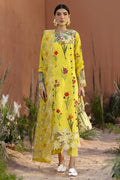 Parishay | Ivy Bloom 26 | IB-09 - House Of Hania