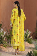Parishay | Ivy Bloom 26 | IB-09 - House Of Hania
