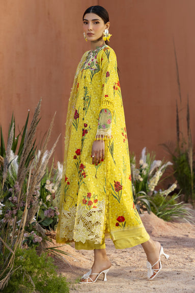 Parishay | Ivy Bloom 26 | IB-09 - House Of Hania