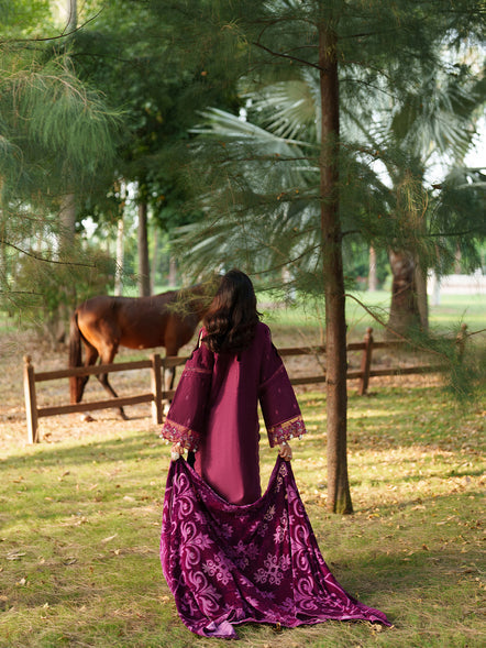 Parishay | Panache Luxury Winter 25 | PNE-04 - House Of Hania