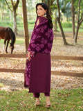 Parishay | Panache Luxury Winter 25 | PNE-04 - House Of Hania