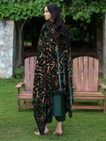 Parishay | Panache Luxury Winter 25 | PNE-11 - House Of Hania