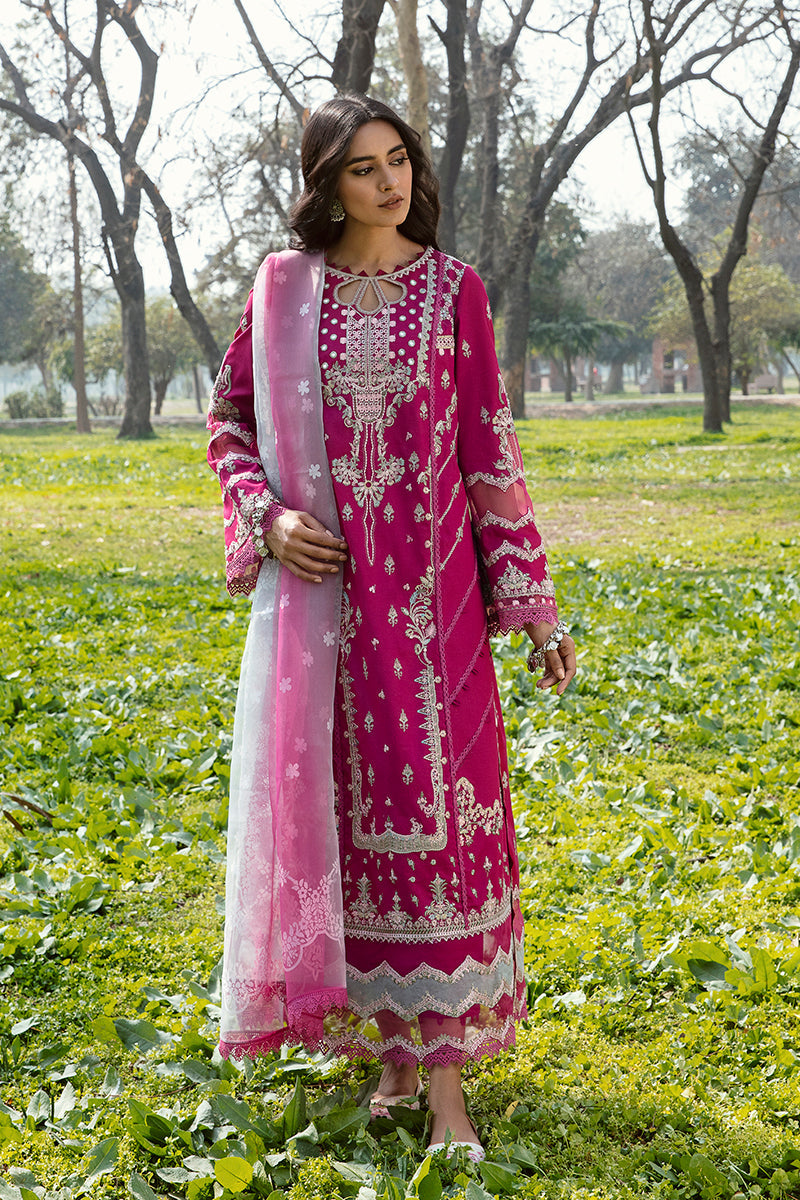 QALAMKAR QLINE-AK-13 LARISA-LAWN COLLECTION'23 - House Of Hania