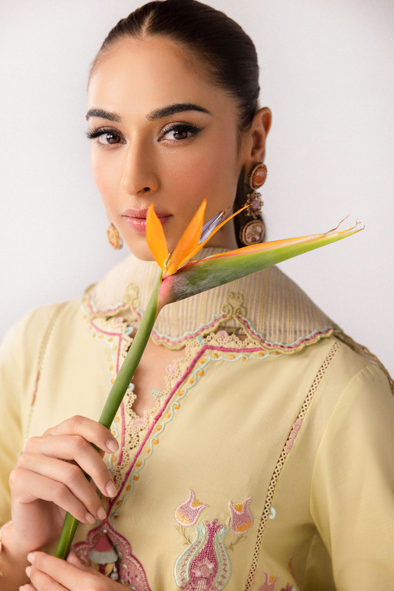 Qalamkar | Basic Pret 25 | KT-08 Afra - House Of Hania