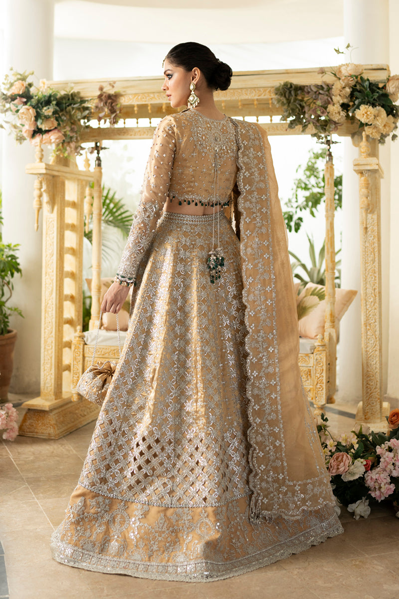 Qalamkar | DN-01 IMAAN - House Of Hania