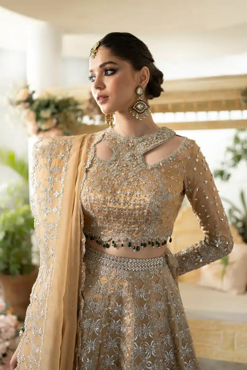 Qalamkar | Dilnaz Wedding Formals | DN-01 IMAAN - House Of Hania