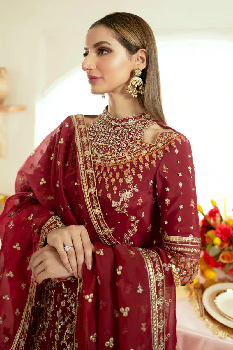 Qalamkar | Dilnaz Wedding Formals | DN-03 ZAINA - House Of Hania