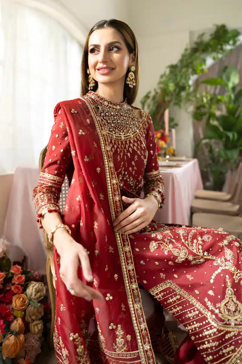 Qalamkar | Dilnaz Wedding Formals | DN-03 ZAINA - House Of Hania