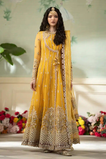 Qalamkar | Dilnaz Wedding Formals | DN-04 KANZA - House Of Hania