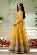 Qalamkar | Dilnaz Wedding Formals | DN-04 KANZA - House Of Hania