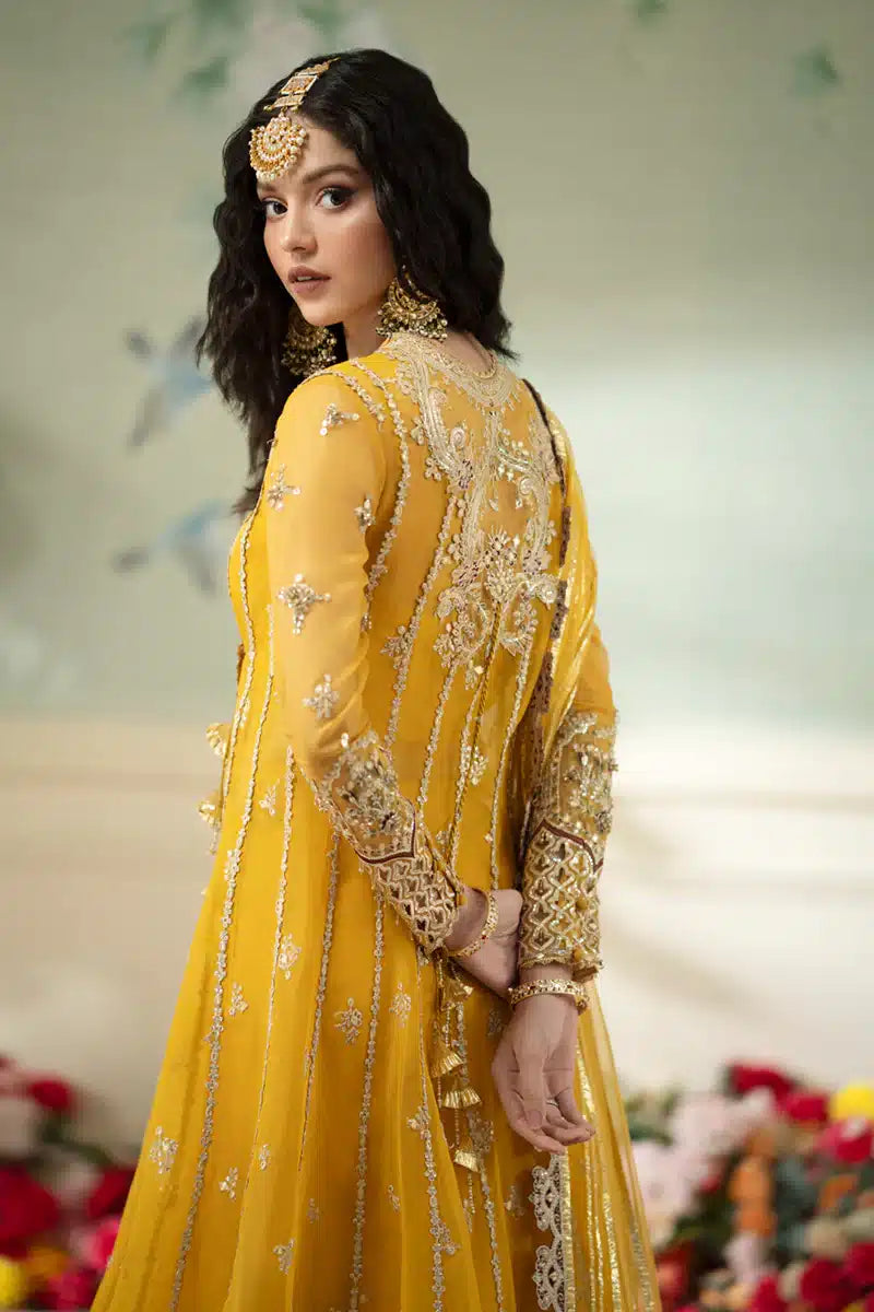 Qalamkar | Dilnaz Wedding Formals | DN-04 KANZA - House Of Hania