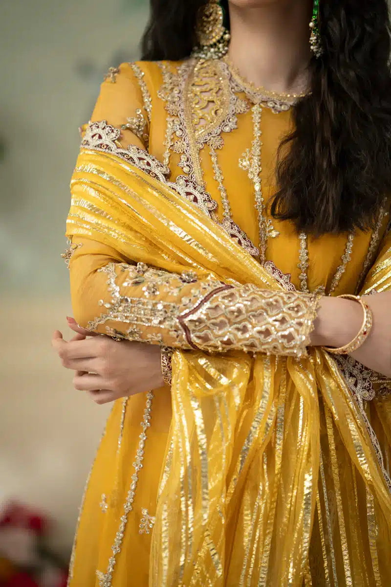 Qalamkar | Dilnaz Wedding Formals | DN-04 KANZA - House Of Hania