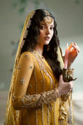 Qalamkar | Dilnaz Wedding Formals | DN-04 KANZA - House Of Hania