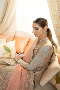 Qalamkar | Dilnaz Wedding Formals | DN-08 INAYAA - House Of Hania