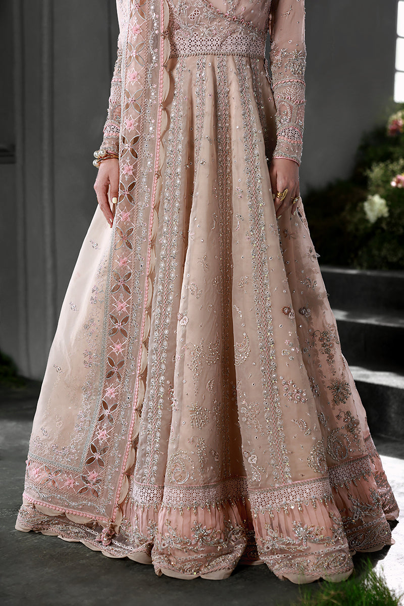 Qalamkar | Elirah Formals 25 | MF-01 LUSTRA - House Of Hania