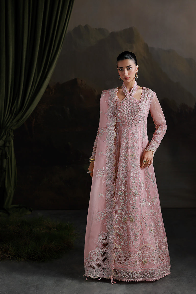 Qalamkar | Elirah Formals 25 | MF-03 BLUSH REVERIE - House Of Hania