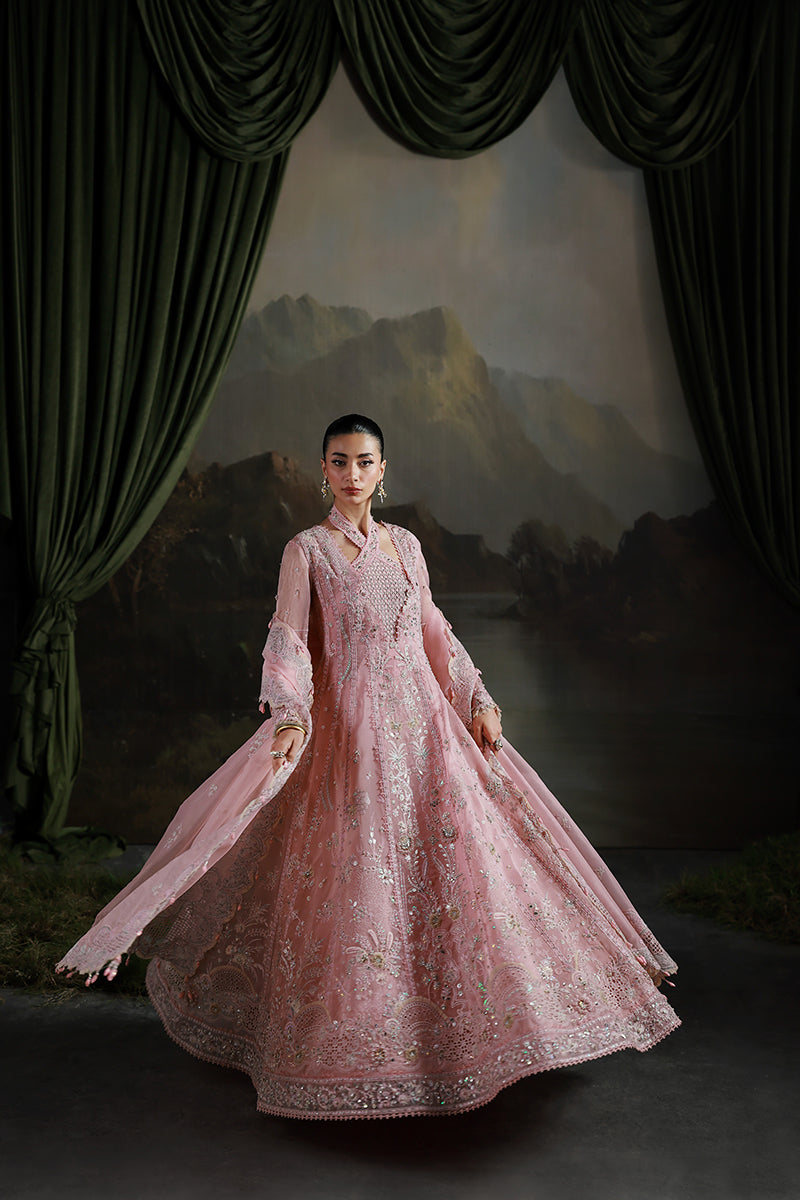 Qalamkar | Elirah Formals 25 | MF-03 BLUSH REVERIE - House Of Hania