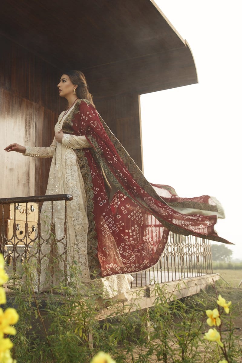 Qalamkar | Luxury Festive Lawn | FX-07 - House Of Hania