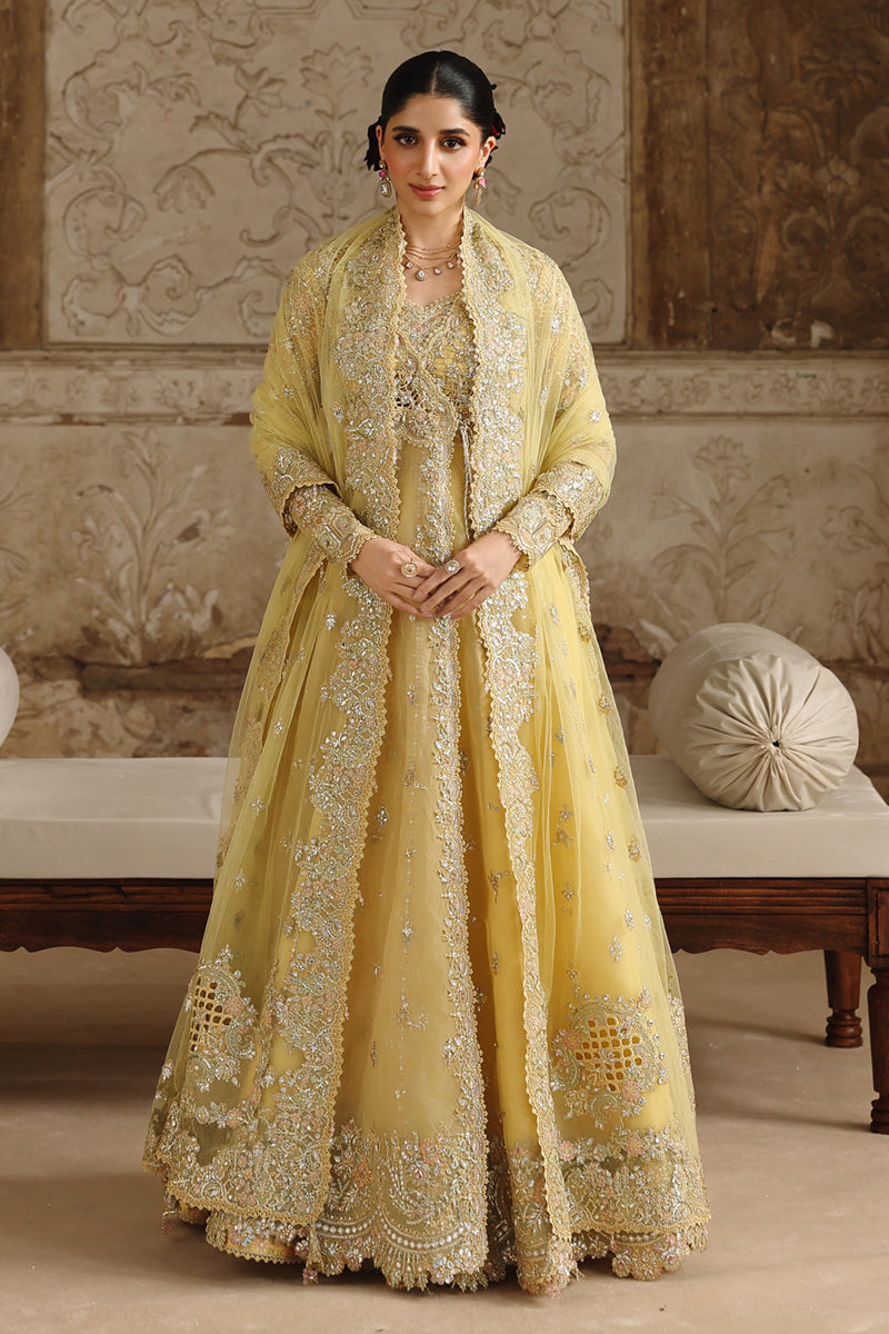 Qalamkar | Shadmaani Formals 25 | RH-06 HOOR - House Of Hania
