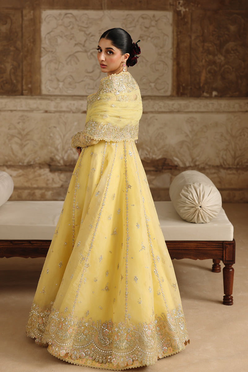 Qalamkar | Shadmaani Formals 25 | RH-06 HOOR - House Of Hania