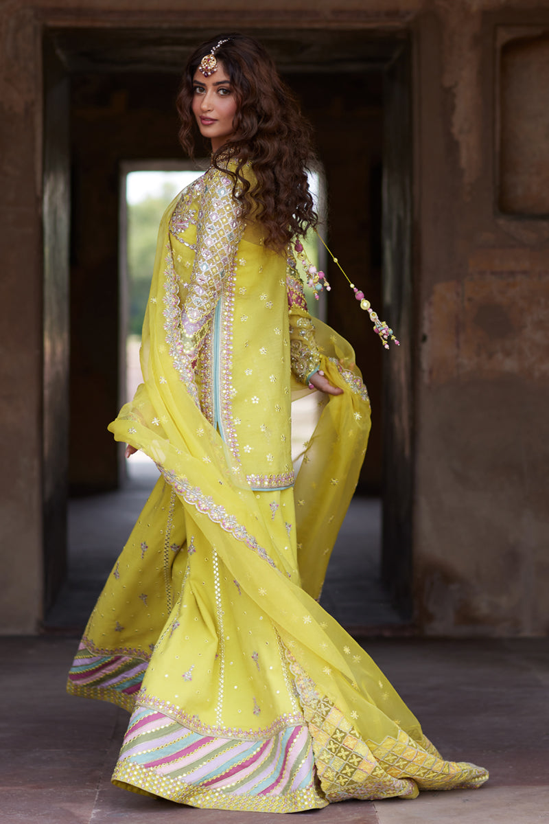 Qalamkar | Shadmani Luxury Formals |  Dania SH-05 - House Of Hania