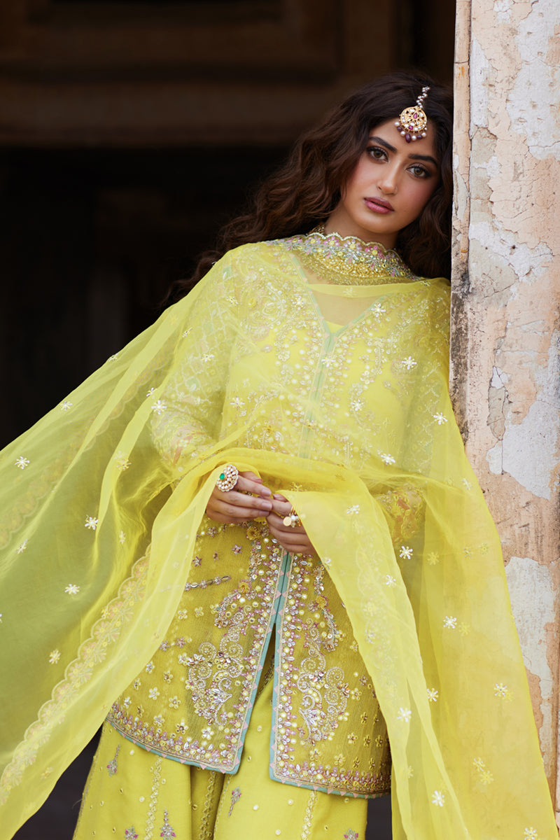 Qalamkar | Shadmani Luxury Formals |  Dania SH-05 - House Of Hania