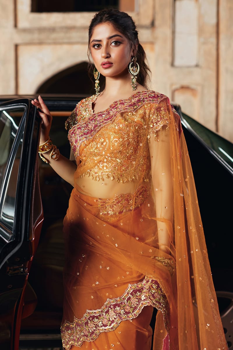 Qalamkar | Shadmani Luxury Formals |  Raniya SH-02 - House Of Hania