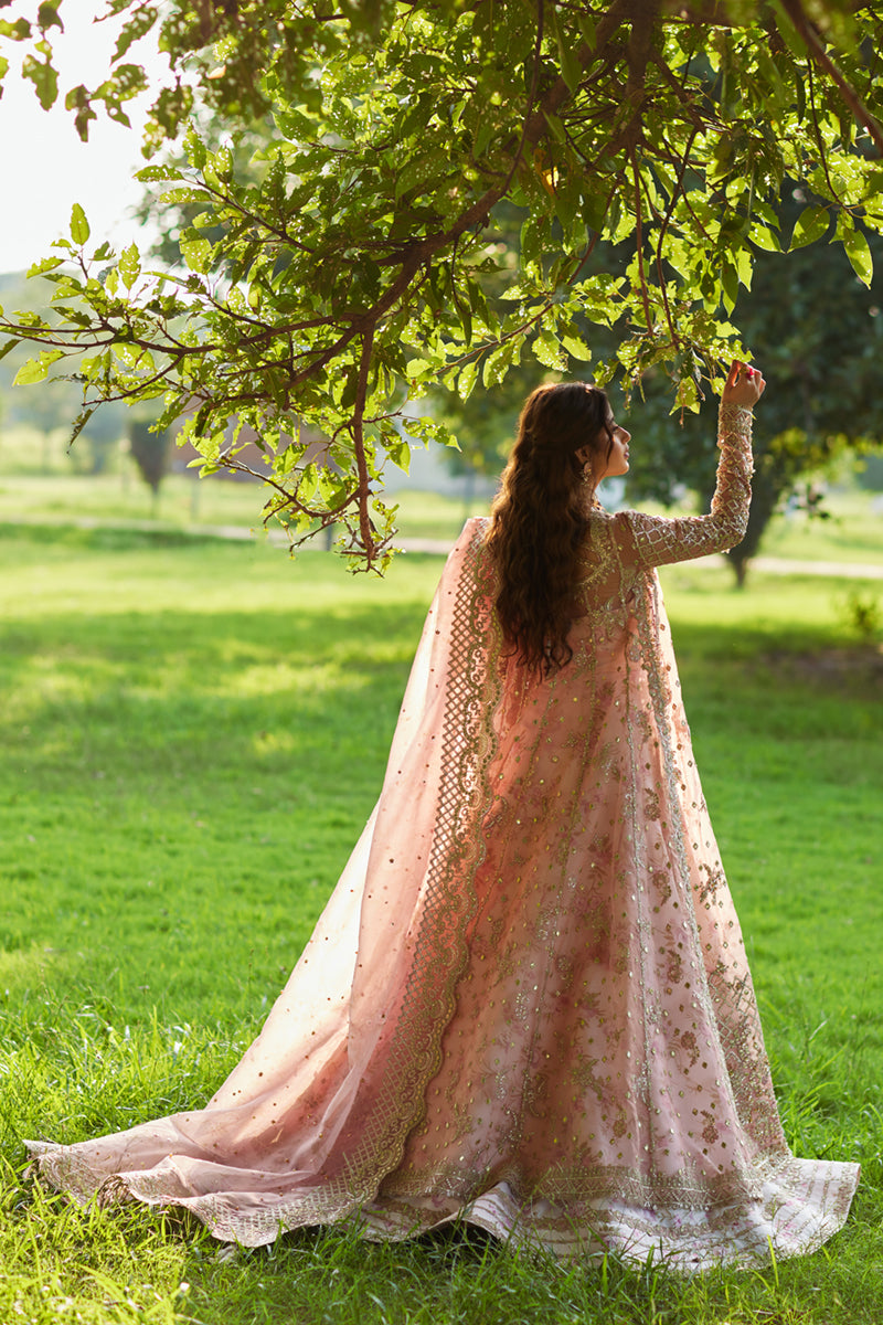 Qalamkar | Shadmani Luxury Formals |  Saira SH-08 - House Of Hania